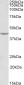 VEGFA (aa288-299) Antibody (internal region)